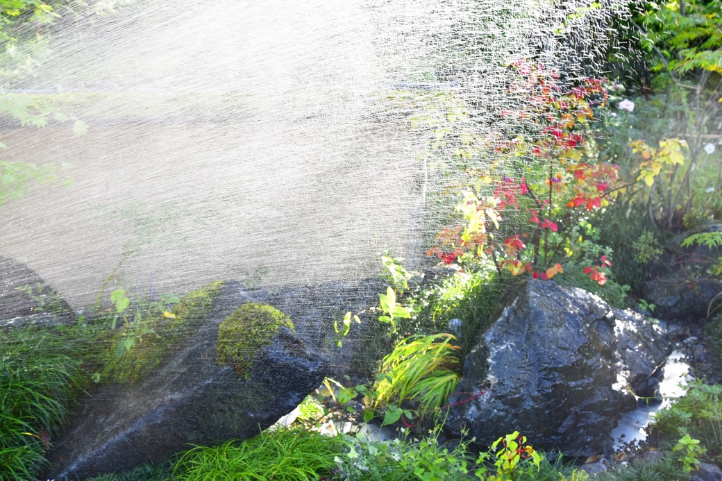 庭の水まき