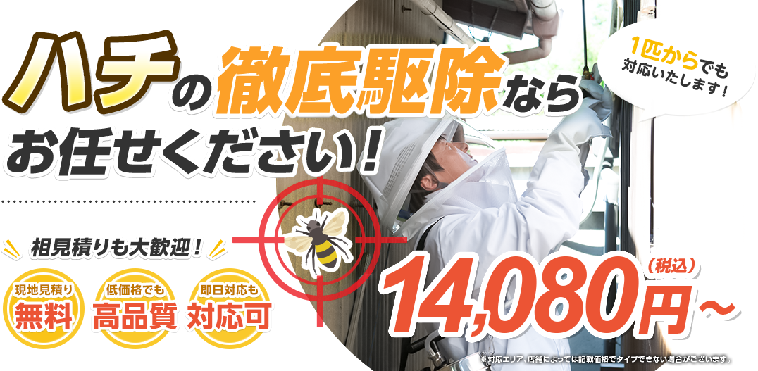 ハチの徹底駆除ならなんでもお任せください！
