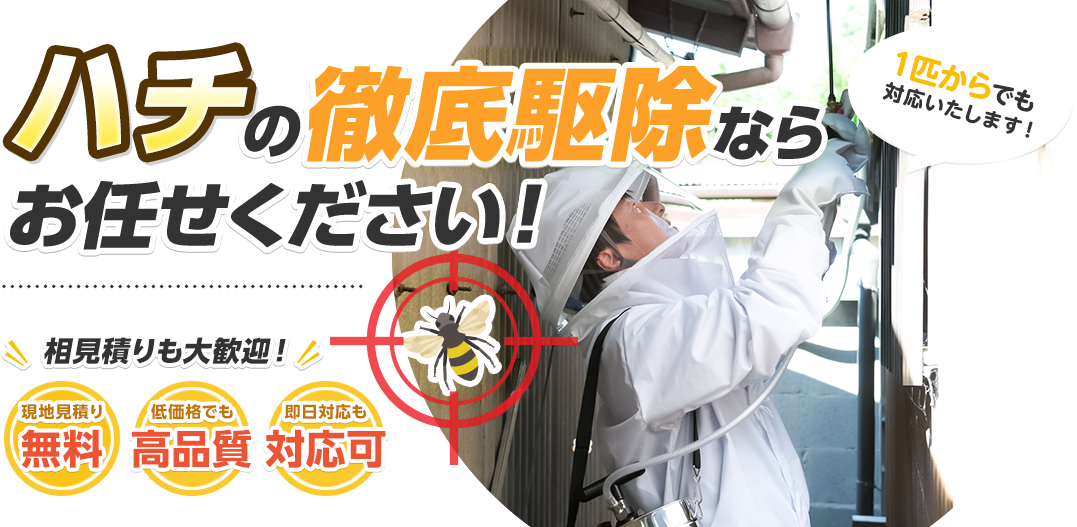 ハチの徹底駆除ならなんでもお任せください！