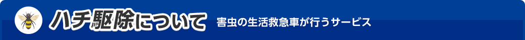 ハチ駆除について 害虫の生活救急車が行うサービス
