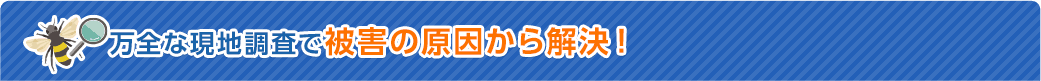 万全な現地調査で被害の原因から解決