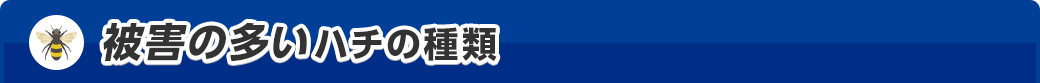被害が確認されているシロアリたち