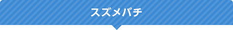 スズメバチ
