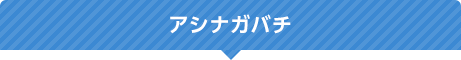 アシナガバチ
