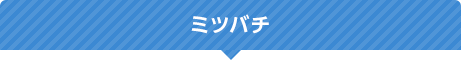 ミツバチ