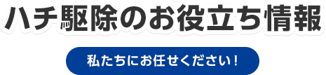 ハチ駆除のお役立ち情報 私たちにお任せください！