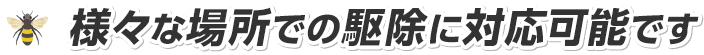 様々な場所での駆除に対応可能です