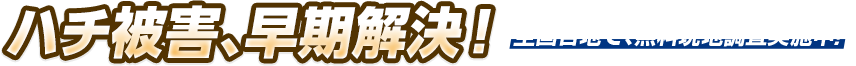 ハチ被害、早期解決！ 全国どこでも、お任せください！