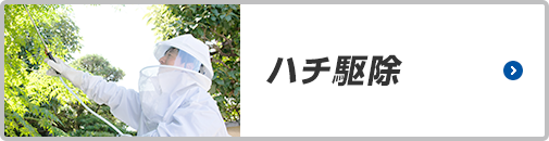 ハチ駆除