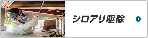 シロアリ駆除