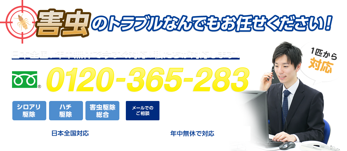 害虫のトラブルなんでもお任せください！日本全国、年中無休で今すぐ対応！私たちが対応します！フリーダイヤル : 0120-365-283 シロアリ駆除 ハチ駆除 害虫駆除総合 日本全国対応 年中無休で対応