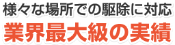 業界最大級の実績