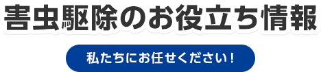 害虫駆除のお役立ち情報 私たちにお任せください！