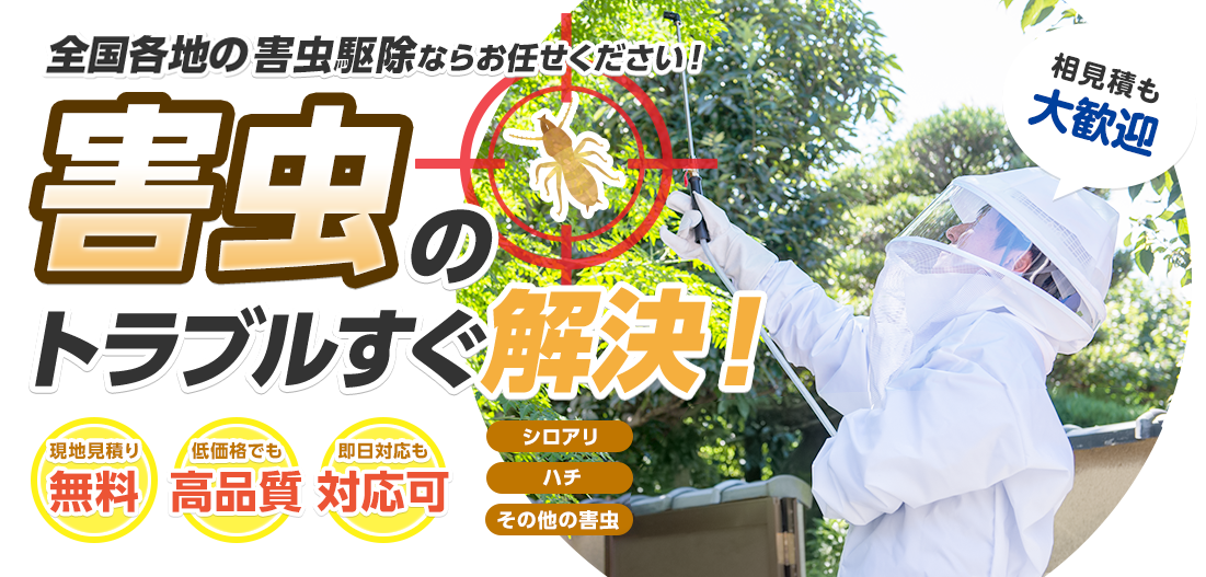全国各地、害虫駆除ならお任せください！害虫のトラブルすぐ解決！現地見積もり無料 低価格でも高品質 即日対応も可 シロアリ ハチ その他害虫