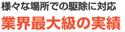 業界最大級の実績