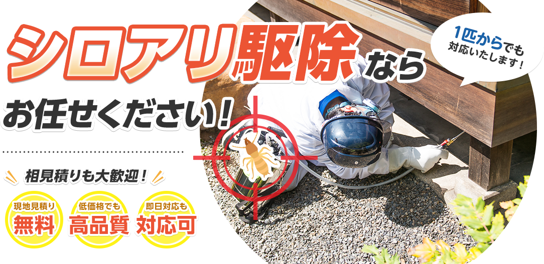 シロアリ駆除ならお任せください！