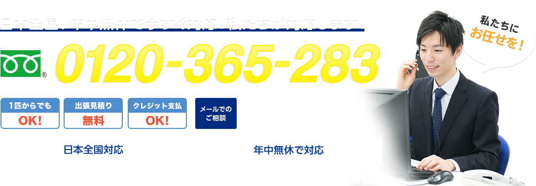 日本全国、年中無休で今すぐ対応！私たちが対応します！フリーダイヤル : 0120-365-283 1匹からでもOK! 出張見積もり無料 クレジット支払 日本全国対応 年中無休で対応