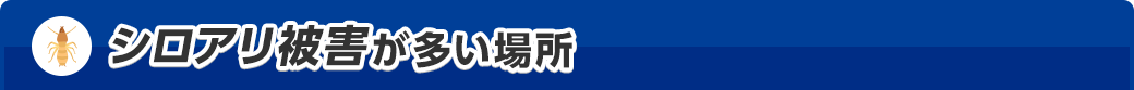 シロアリ被害が多い場所
