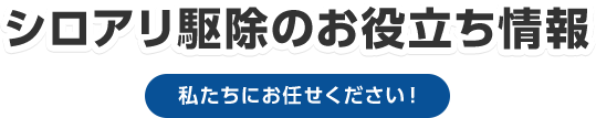 シロアリ駆除のお役立ち情報 私たちにお任せください！