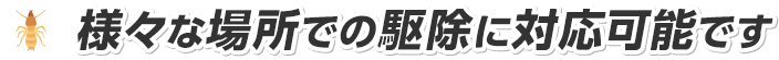 様々な場所での駆除に対応可能です
