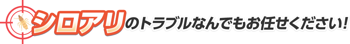 シロアリのトラブルなんでもお任せください！