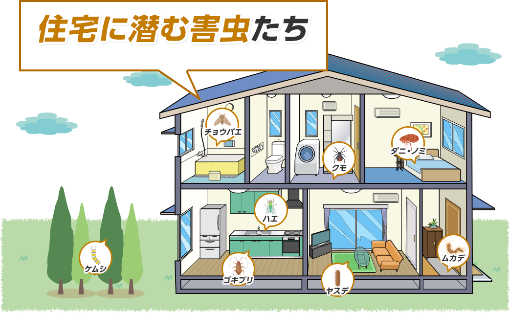 住宅に潜む害虫たち