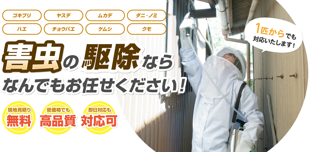 害虫の駆除ならなんでお任せください！