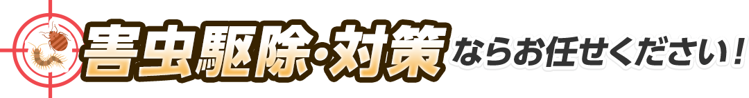 ハチ・蜂の巣駆除ならお任せください！