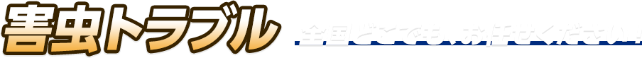 害虫トラブル 全国どこでも、お任せください！