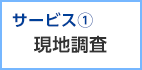 サービス1 現地調査