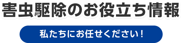 害虫駆除のお役立ち情報 私たちにお任せください！