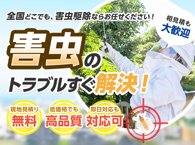 全国どこでも害虫駆除ならお任せください！害虫のトラブルすぐ解決！現地見積もり無料 低価格でも高品質 即日対応も可 シロアリ ハチ その他害虫