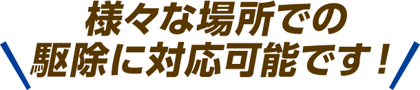様々な場所での駆除に対応可能です！