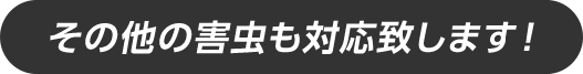 その他の害虫も対応致します！